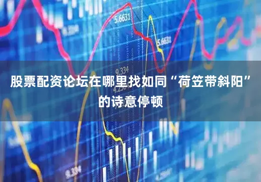 股票配资论坛在哪里找如同“荷笠带斜阳”的诗意停顿