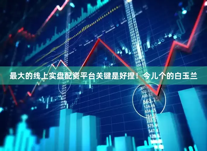 最大的线上实盘配资平台关键是好捏！今儿个的白玉兰