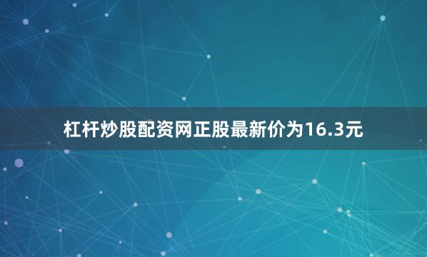 杠杆炒股配资网正股最新价为16.3元
