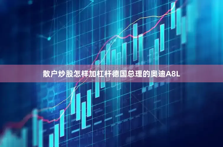 散户炒股怎样加杠杆德国总理的奥迪A8L