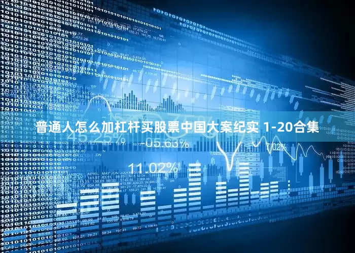 普通人怎么加杠杆买股票中国大案纪实 1-20合集
