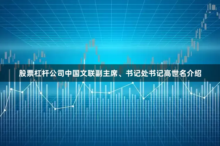 股票杠杆公司中国文联副主席、书记处书记高世名介绍