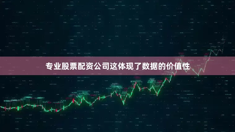 专业股票配资公司这体现了数据的价值性