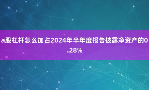 a股杠杆怎么加占2024年半年度报告披露净资产的0.28%